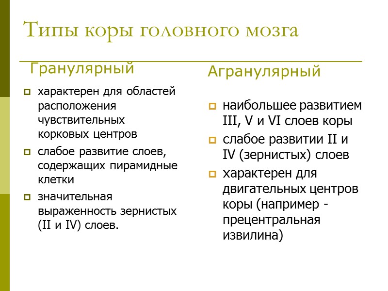 наибольшее развитием III, V и VI слоев коры слабое развитии II и IV (зернистых)